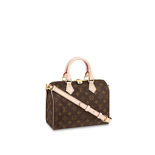 M41113L L_V bags Louis Vuitton bag Bag Speedy 25 handbags-cca947d2